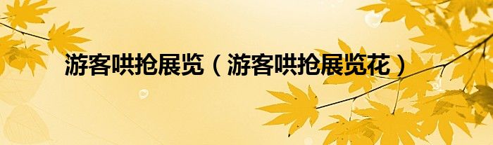 游客哄抢展览（游客哄抢展览花）