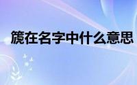 篪在名字中什么意思（篪在名字中的寓意）
