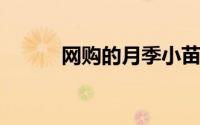 网购的月季小苗刚收到怎么处理