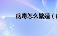病毒怎么繁殖（病毒的繁殖方法）