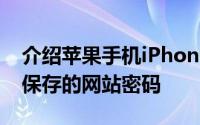 介绍苹果手机iPhone如何查看Safari浏览器保存的网站密码