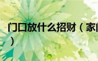 门口放什么招财（家门口适合放什么植物旺财）
