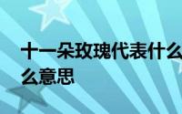 十一朵玫瑰代表什么寓意 十一朵玫瑰代表什么意思 