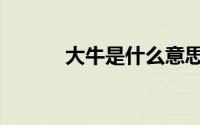 大牛是什么意思（大牛的意思）