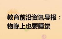 教育前沿资讯导报：知识科普:为什么有的植物晚上也要睡觉