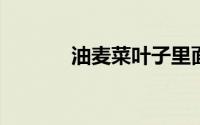 油麦菜叶子里面有虫怎么治疗