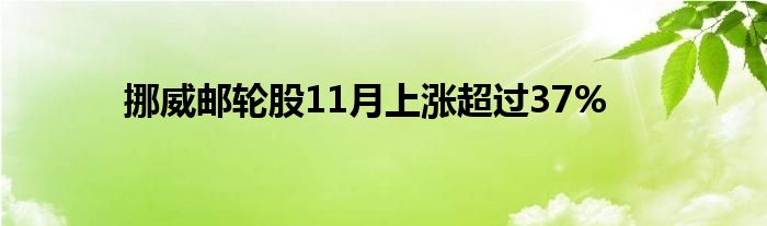 挪威邮轮股11月上涨超过37%