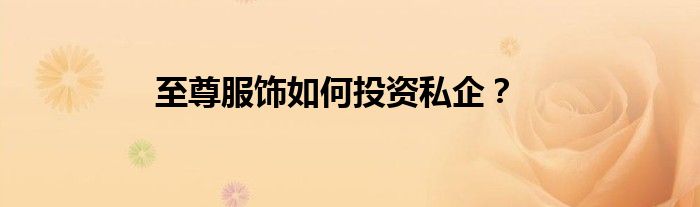 至尊服饰如何投资私企？