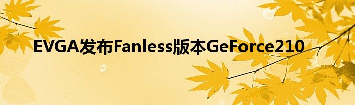 EVGA发布Fanless版本GeForce210