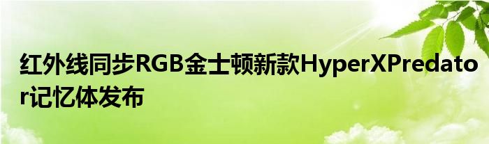 红外线同步RGB金士顿新款HyperXPredator记忆体发布