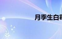 月季生白霉病怎么办