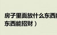 房子里面放什么东西能发财（房子里面放什么东西能招财）