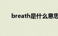 breath是什么意思（breath的意思）