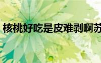 核桃好吃是皮难剥啊苏瑟（核桃好吃怎么剥）