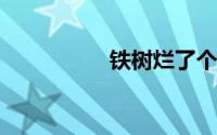 铁树烂了个洞怎么处理