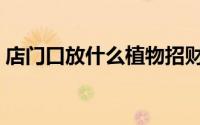店门口放什么植物招财（店门口啥植物招财）