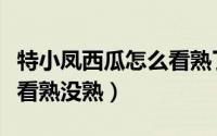 特小凤西瓜怎么看熟了没有（特小凤西瓜如何看熟没熟）