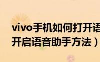 vivo手机如何打开语音唤醒功能（vivo手机开启语音助手方法）
