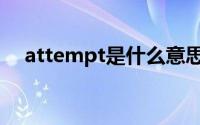 attempt是什么意思（attempt的意思）
