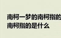 南柯一梦的南柯指的是什么蚂蚁 南柯一梦的南柯指的是什么 