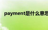 payment是什么意思（payment的意思）