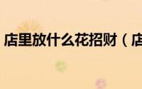 店里放什么花招财（店里摆放这三种花最好）