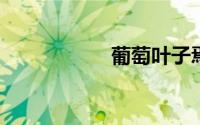 葡萄叶子焉了怎么救
