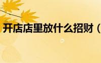 开店店里放什么招财（开店店里放哪些招财）