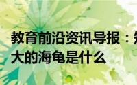 教育前沿资讯导报：知识科普：世界上体型最大的海龟是什么
