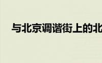 与北京调谐街上的北京汽车B40并驾齐驱