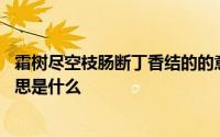 霜树尽空枝肠断丁香结的的意思 霜树尽空枝肠断丁香结的意思是什么 