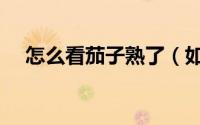 怎么看茄子熟了（如何分辨茄子熟没熟）