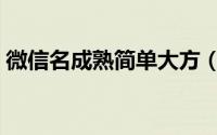 微信名成熟简单大方（比较简单大气的网名）