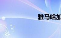 雅马哈加什么油？