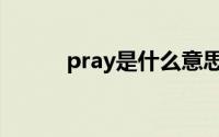 pray是什么意思（pray的意思）