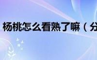 杨桃怎么看熟了嘛（分辨杨桃熟没熟的教程）