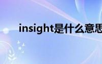 insight是什么意思（insight的意思）