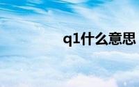 q1什么意思（q1的意思）