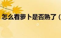 怎么看萝卜是否熟了（正确分辨萝卜熟没熟）