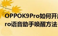 OPPOK9Pro如何开启语音唤醒（OPPOK9Pro语音助手唤醒方法）
