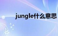 jungle什么意思（jungle的意思）