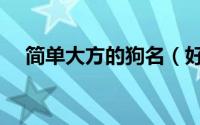 简单大方的狗名（好听的狗狗名字大全）