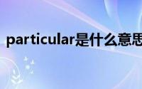 particular是什么意思（particular的意思）