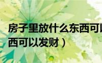 房子里放什么东西可以发财（房子里放哪些东西可以发财）