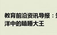 教育前沿资讯导报：知识科普：哪种动物是海洋中的瞌睡大王