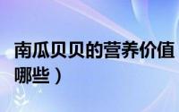 南瓜贝贝的营养价值（南瓜贝贝的营养价值有哪些）