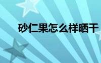 砂仁果怎么样晒干（砂仁果如何晒干）