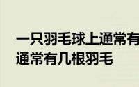 一只羽毛球上通常有几根羽毛 一支羽毛球上通常有几根羽毛 