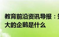 教育前沿资讯导报：知识科普：世界上体型最大的企鹅是什么