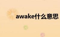 awake什么意思（awake的意思）